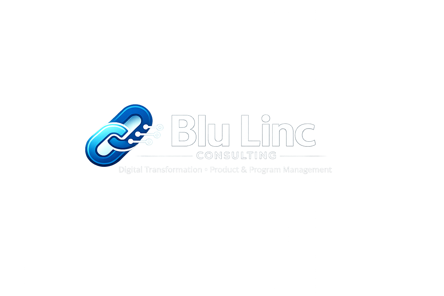 Blu Linc Consulting